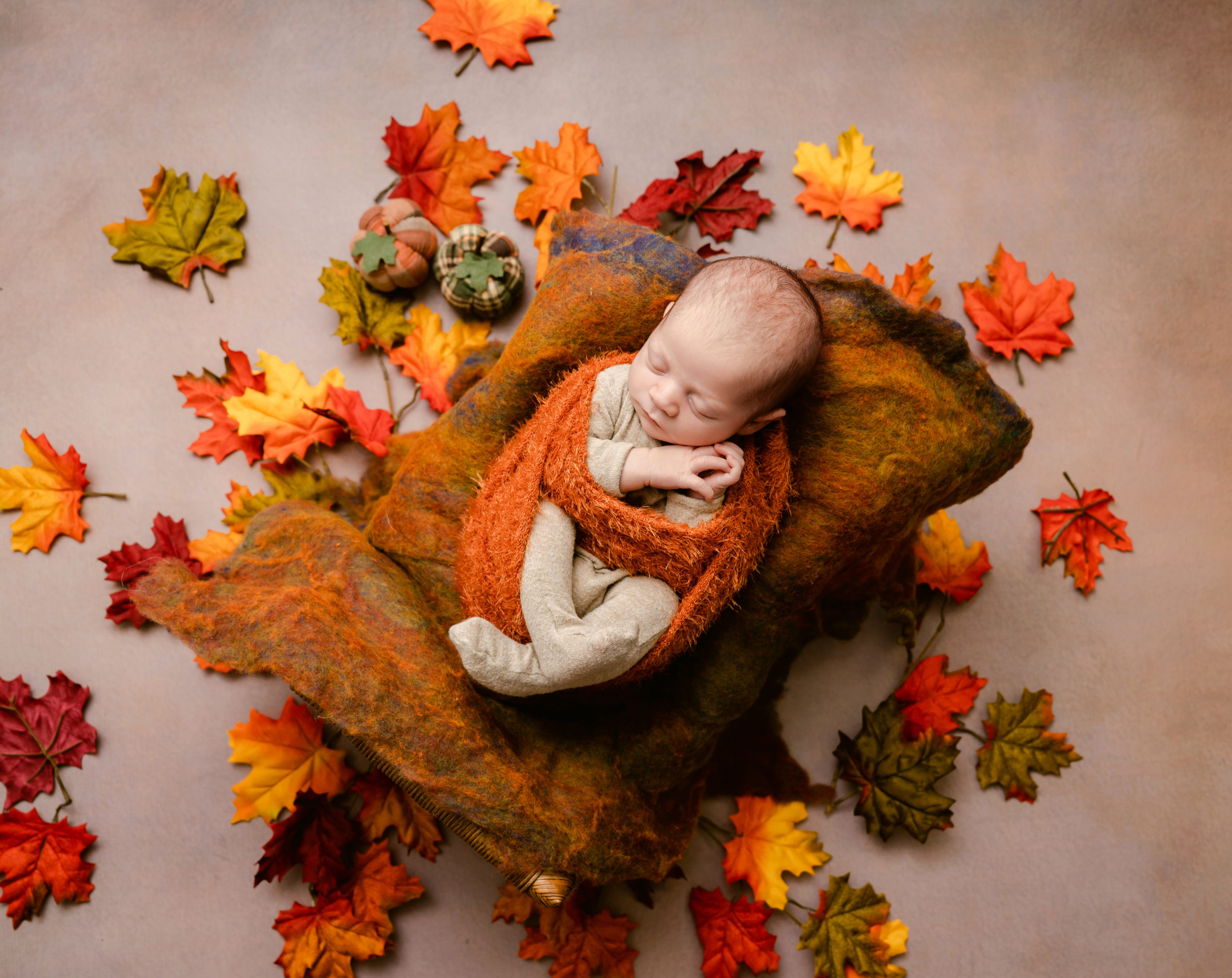 Fall themed posed Newborn Photography in Minnesota