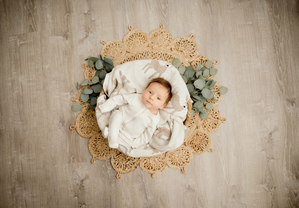 photographers in mn specializing in newborn posed photography